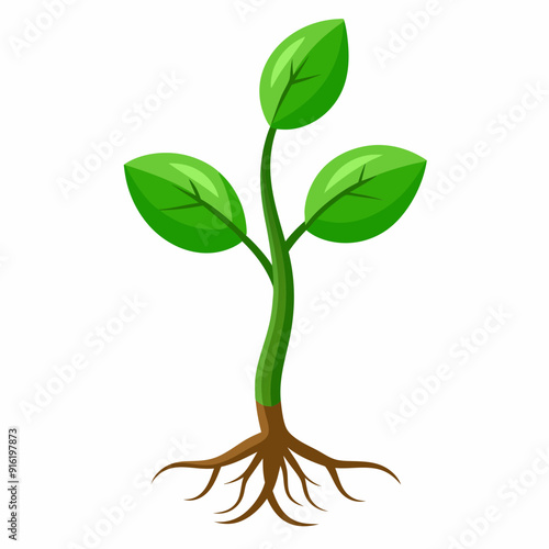 Color Tree and Roots. Vector Illustration