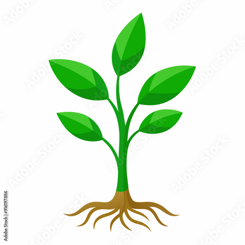 green plants grow in the garden with a white background  vector illustration