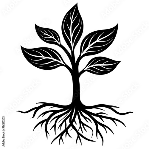 Silhouette of tree with sprawling roots