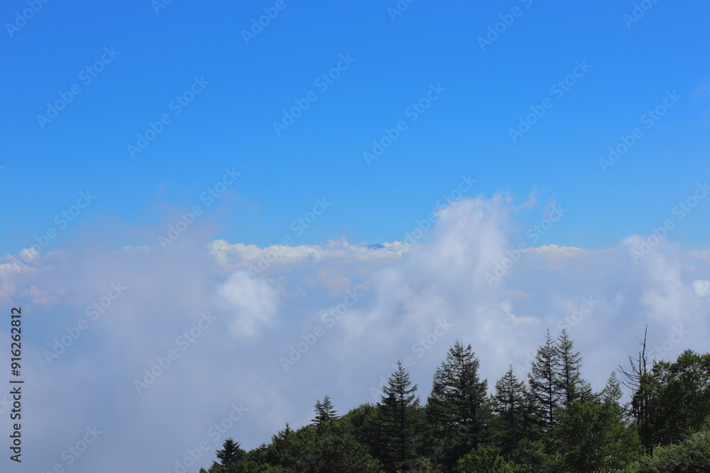 長野県ビーナスライン美ヶ原高原からみた青空と雲と緑 長野県ビーナスライン美ヶ原高原からみた青空と雲と緑