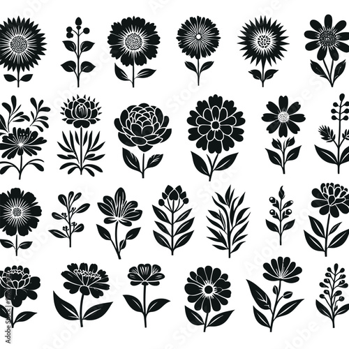 shiloutte flower set vector