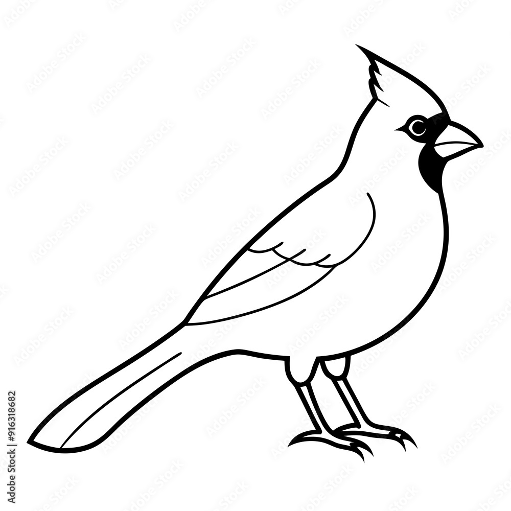 Cardinal head isolated on white background, Cardinal vector illustration, bird on a branch vector art, Cardinal silhouette, bird vector icon, bird on a branch line art, eps, Animal cartoon Cardinal head isolated on white background, Cardinal vector illustration, bird on a branch vector art, Cardinal silhouette, bird vector icon, bird on a branch line art, eps, Animal cartoon