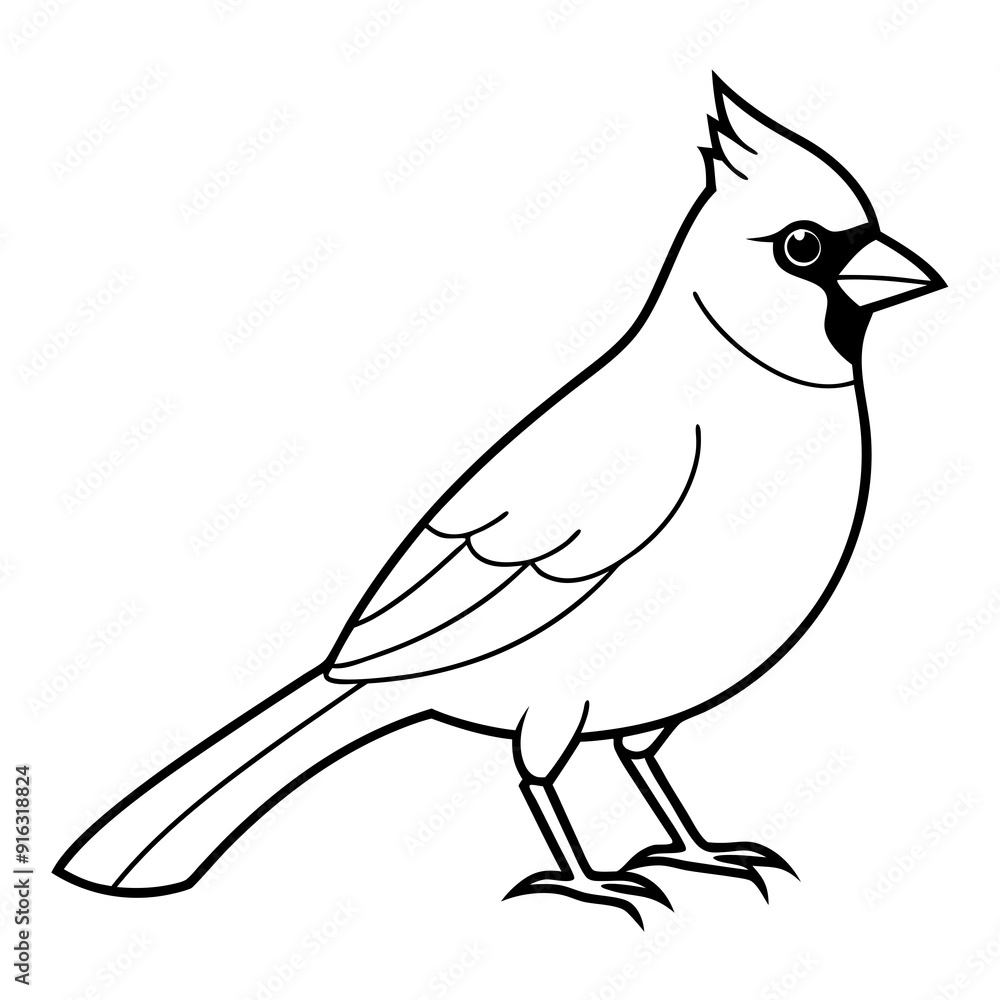 Fototapeta premium Cardinal head isolated on white background, Cardinal vector illustration, bird on a branch vector art, Cardinal silhouette, bird vector icon, bird on a branch line art, eps, Animal cartoon