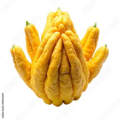 Buddha s hand fruit Isolated On Transparent Background photo