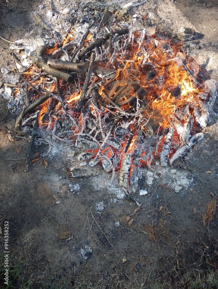 burning wood burning in the fire burning wood burning in the fire