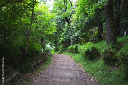 田舎の風景