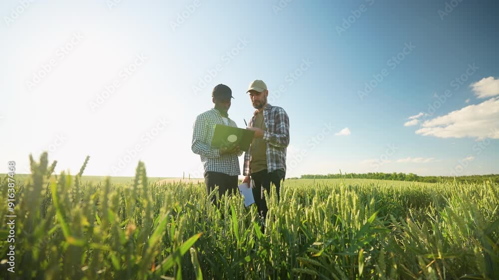 Two farmers stand in wheat stubble field, discuss harvest, crops Two farmers stand in wheat stubble field, discuss harvest, crops