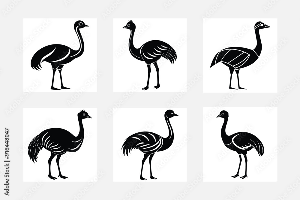 Fototapeta premium Minimalist emu vector illustration icons