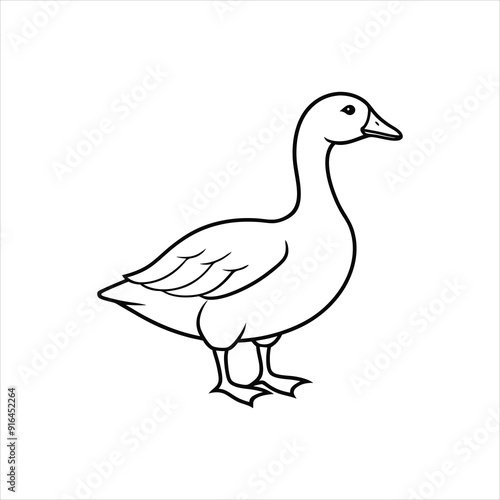 duck vector illustration