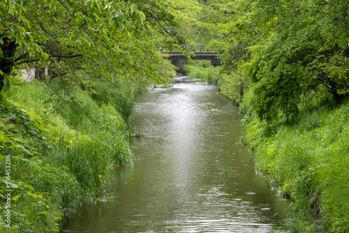 Oshino Hakkai between Lake Kawaguchiko and Lake Yamanakako., Japan photo