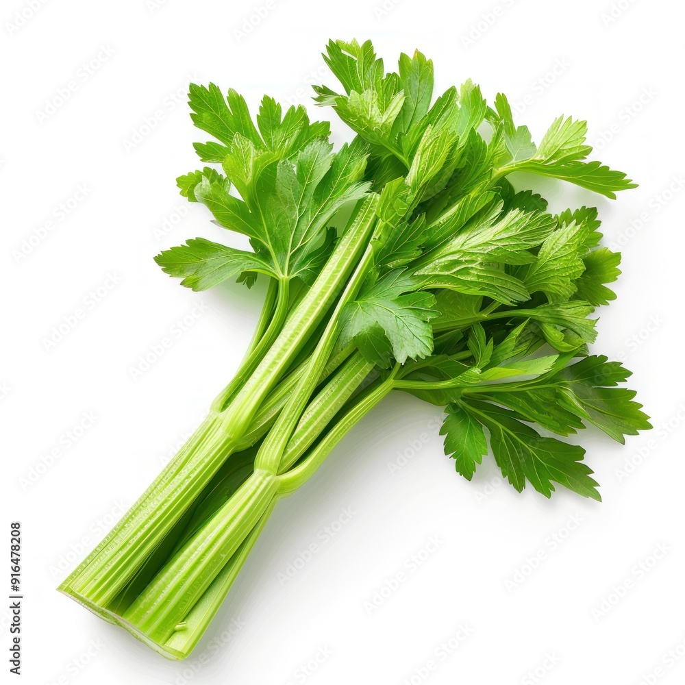 Fresh green celery stalks with leaves. Fresh green celery stalks with leaves.