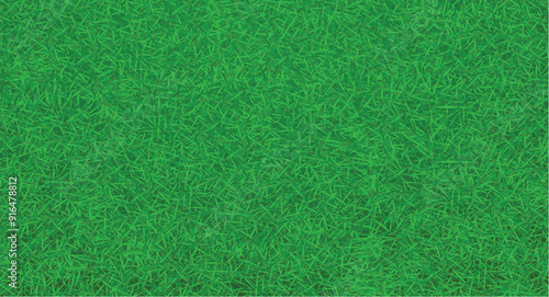 green grass texture