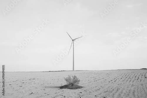 Elegant Wind Turbine Silhouette, sustainable energy solutions, green technology, environmental harmony, renewable resources, ecological balance, climate action, nature and innovation, clean energy fut photo