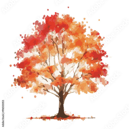 Maple tree bark watermark image - red maple tree - vector image of maple tree