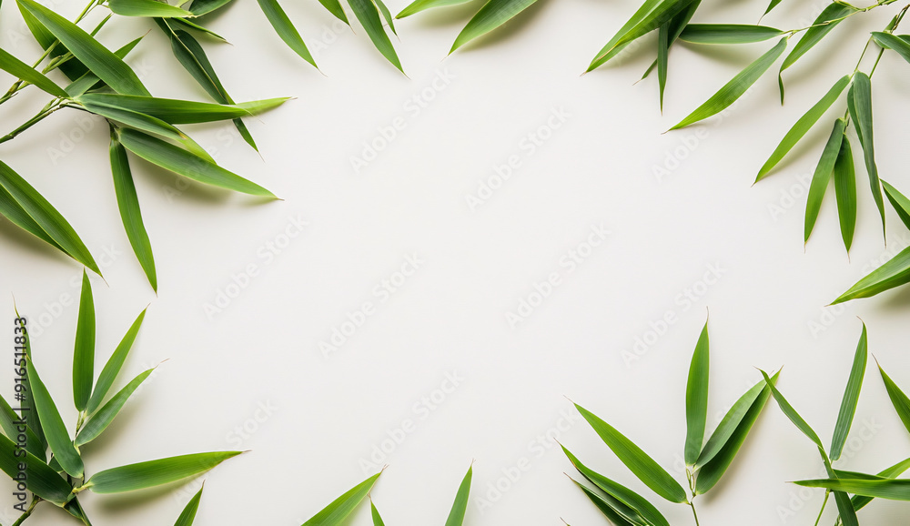 Minimal nature background with bamboo leaves frame and white copy space Minimal nature background with bamboo leaves frame and white copy space