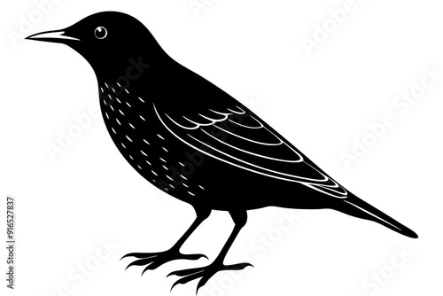 Silhouette of a Starling Bird Wildlife Vector Icon Illustration Clipart