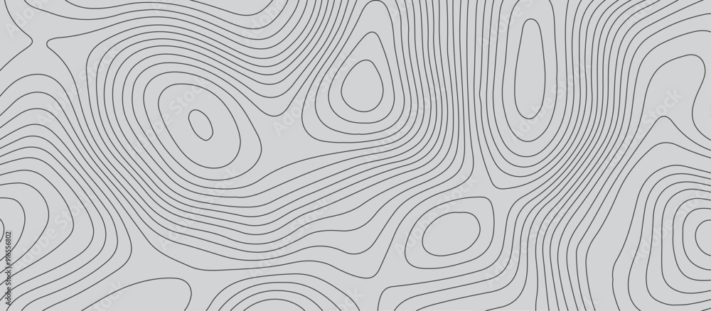 Gray luxury topographic lines map background .modern technology wave curve line contour map design .seamless geography grid vector illustration . Gray luxury topographic lines map background .modern technology wave curve line contour map design .seamless geography grid vector illustration .