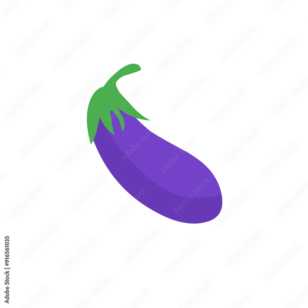 eggplant vector illustration eggplant vector illustration