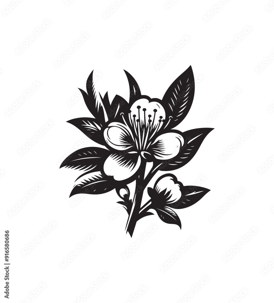 peach blossom vector art graphic resources silhouette vector style, white background peach blossom vector art graphic resources silhouette vector style, white background