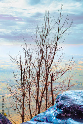 Phahuanak Viewpoint in Phu Laen Kha National Park at Chaiyaphum Province, Thailand photo