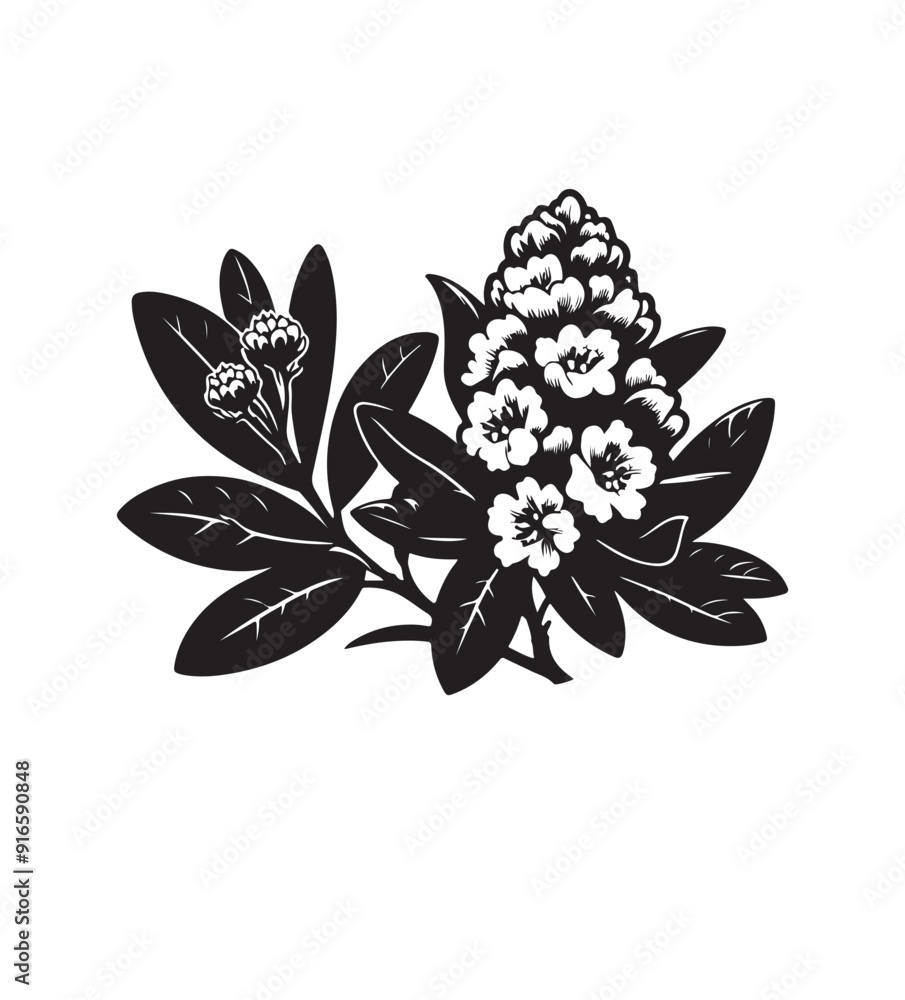 mountain laurel vector art graphic resources silhouette vector style, white background mountain laurel vector art graphic resources silhouette vector style, white background
