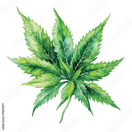 watercolor painting of cannabis