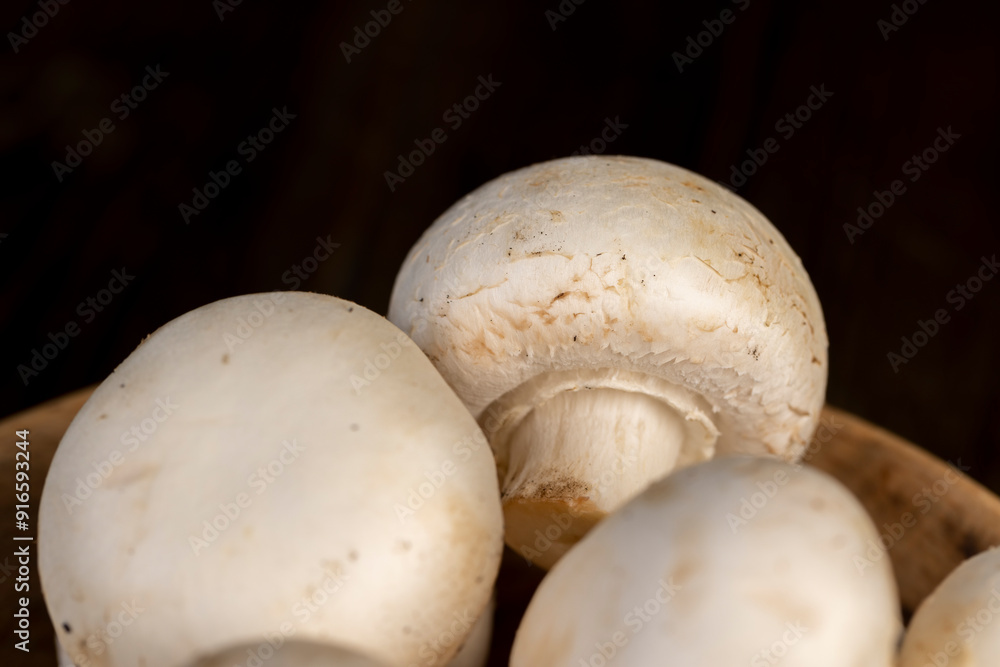 fresh, not cooked mushrooms, white champignons fresh, not cooked mushrooms, white champignons
