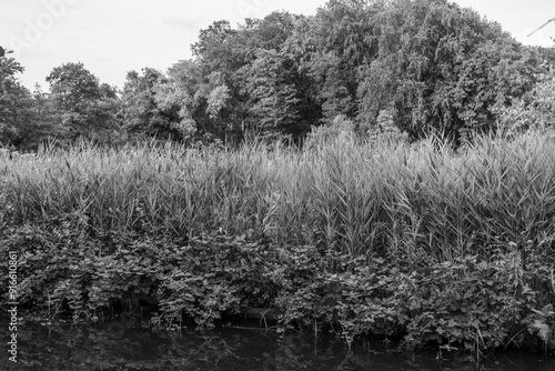 Gemen im westlichen Münsterland photo