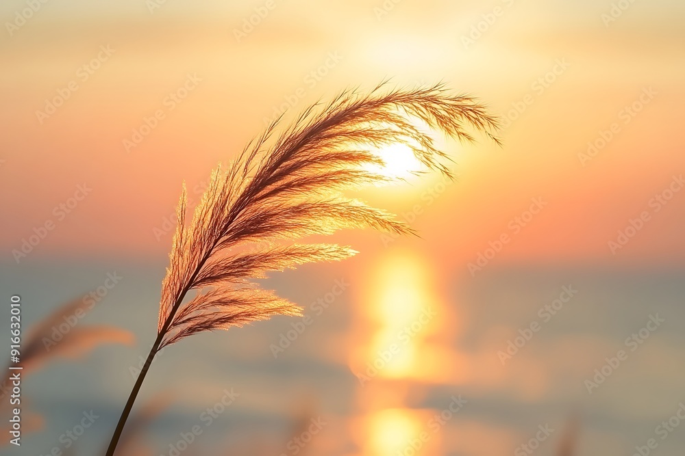 Serenity in Nature. Tranquility concept Serenity in Nature. Tranquility concept