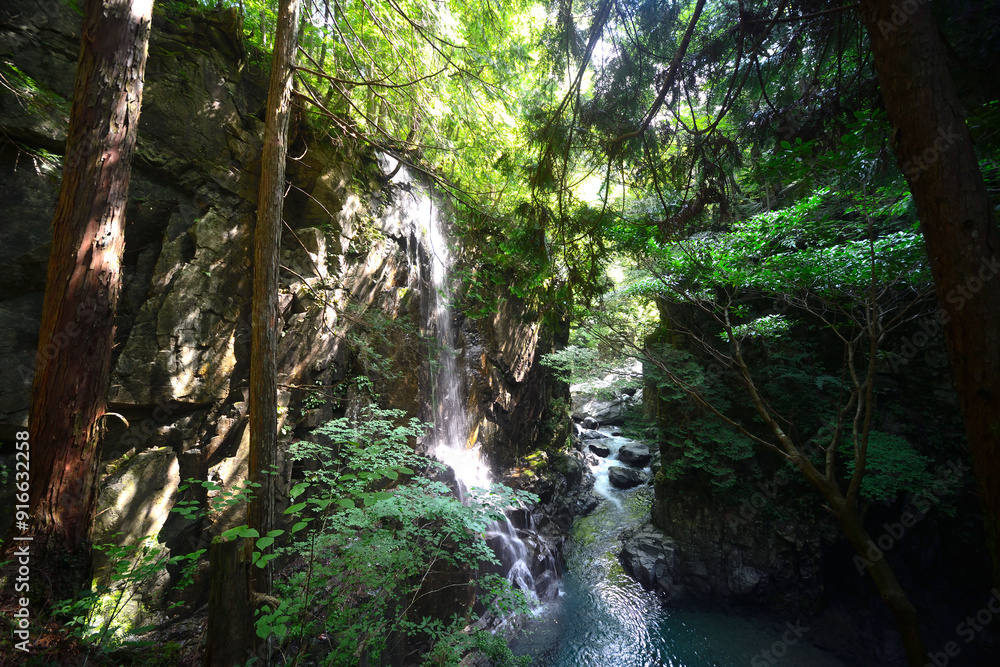 Fototapeta premium 付知峡 滝