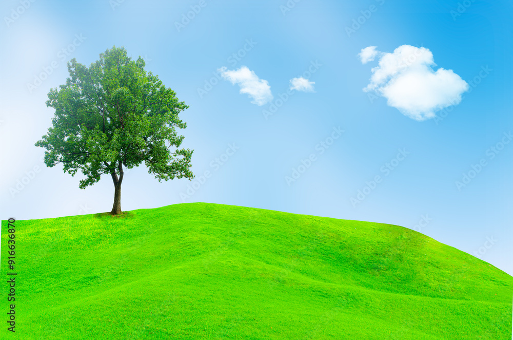 A view of beautiful green field with a tree and fresh grass on a sunny day A view of beautiful green field with a tree and fresh grass on a sunny day