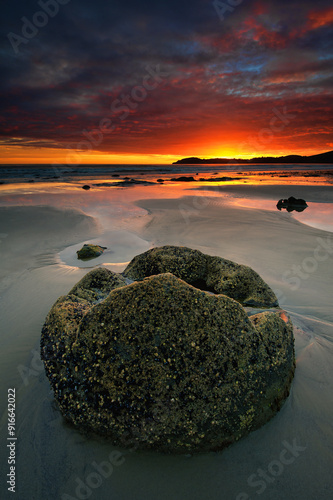 Moeraki Boulders on Koekohe Beach with dramatic sky, Otago coast, South Island of New Zealand. Moeraki, Hampden, Koekohe Beach, Otago Coast, South Island, New Zealand. photo