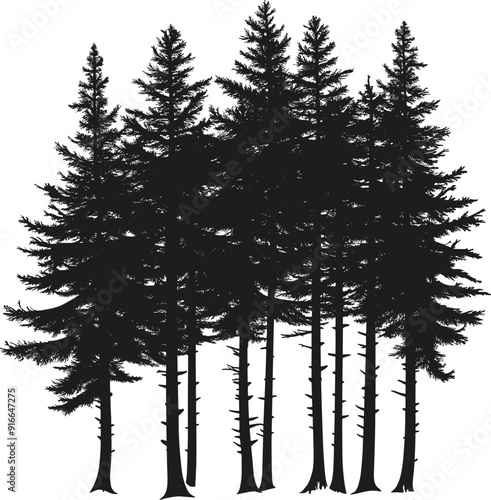 Pine trees silhouette vector