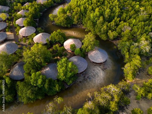 Aerial view of a tropical resort in mangrove forest photo