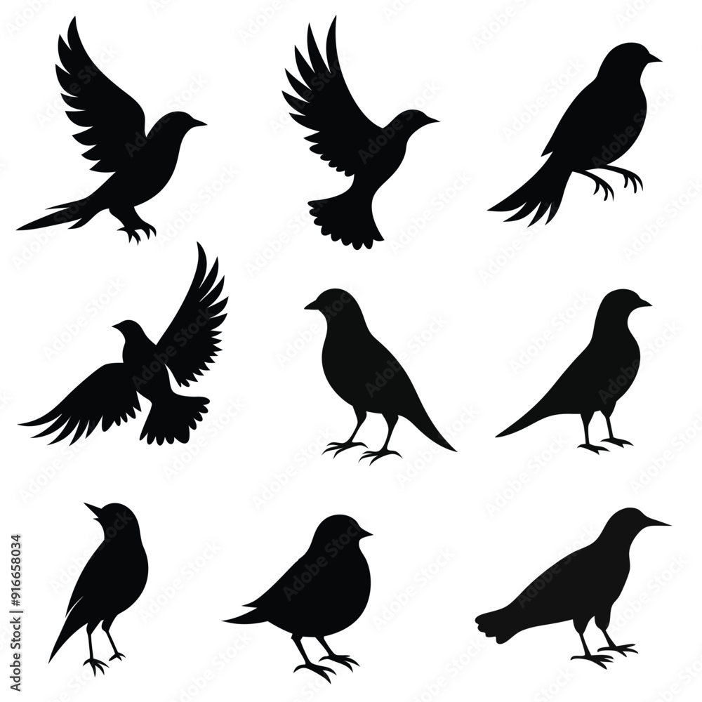 Bird's silhouettes vector illustration on a white background Bird's silhouettes vector illustration on a white background