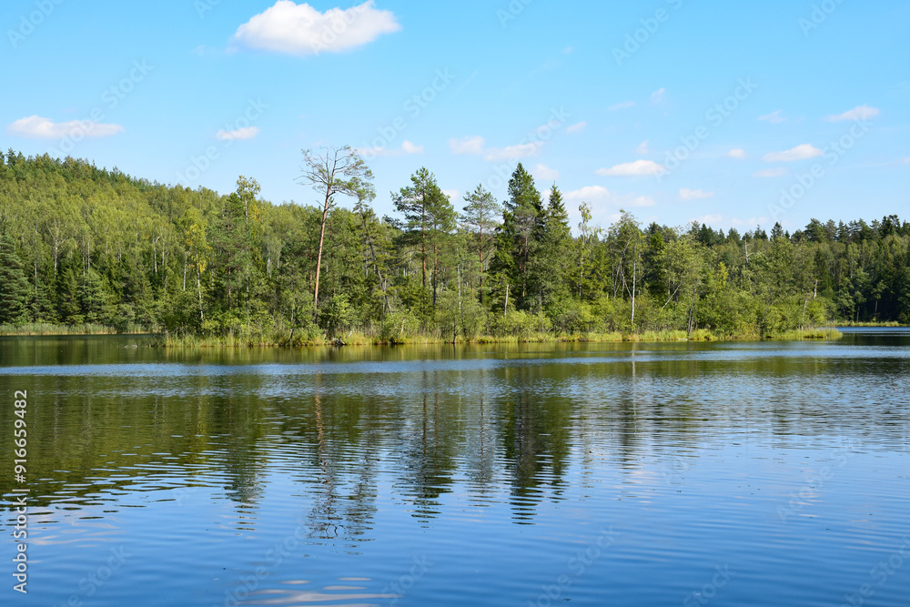 Obraz premium lake and forest