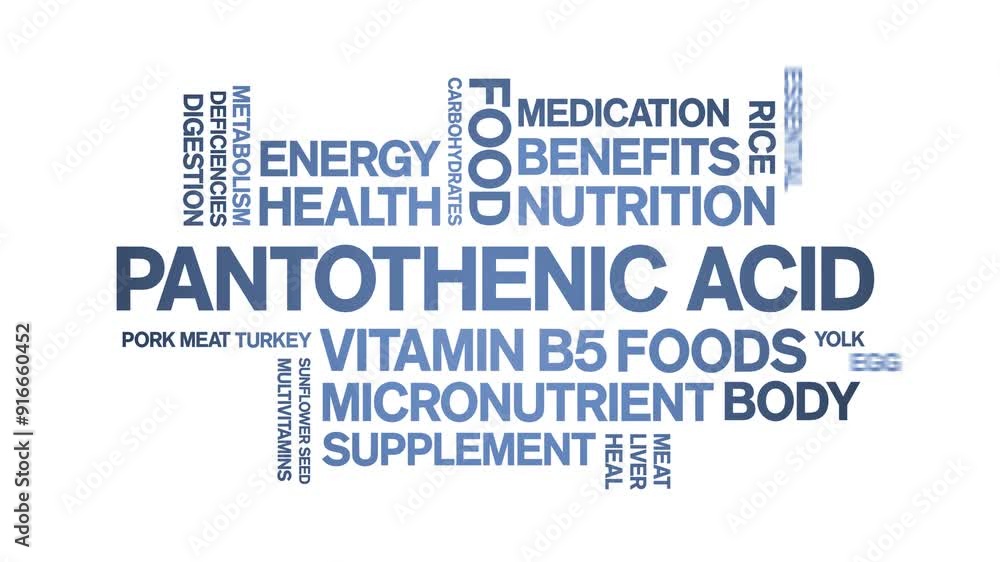 Pantothenic Acid Vitamin B5 animated word cloud;text design animation tag kinetic typography seamless loop. Pantothenic Acid Vitamin B5 animated word cloud;text design animation tag kinetic typography seamless loop.
