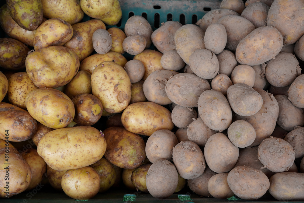 A heap of washed and unwashed potatoes at fruit and veg market. Vegetable produce A heap of washed and unwashed potatoes at fruit and veg market. Vegetable produce