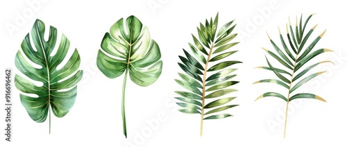 Collection of tropical green leaves on a white background, showcasing various shapes and textures, perfect for nature themed designs