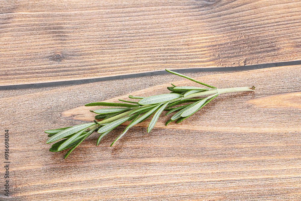 Rosemary branch - organic spicy herb Rosemary branch - organic spicy herb