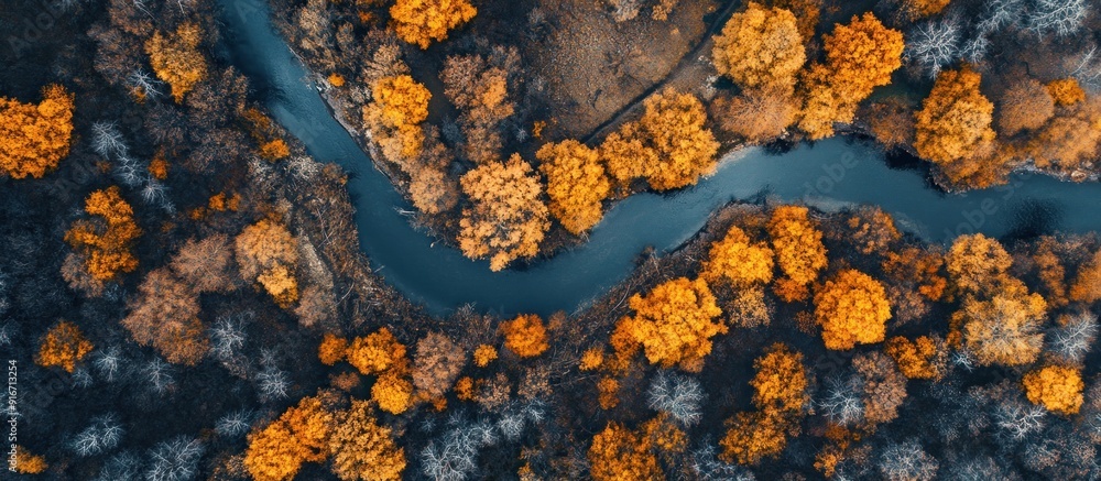 Aerial View of a Winding River Through a Forest in Autumn Aerial View of a Winding River Through a Forest in Autumn