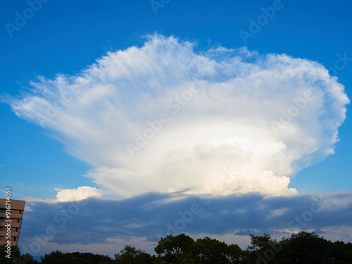 夏の青空と発生中の積乱雲の風景