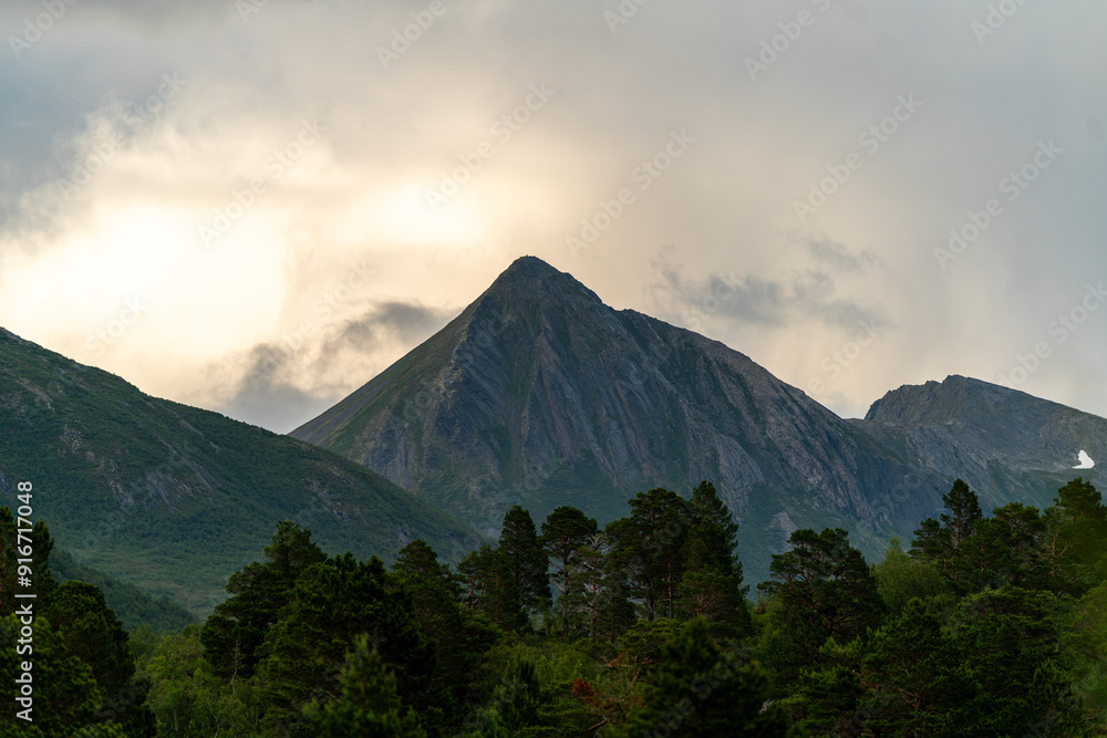trail in Andalsnes Isfjorden fjord in Norway in the woods on summer evening trail in Andalsnes Isfjorden fjord in Norway in the woods on summer evening