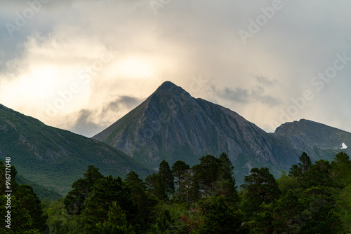 trail in Andalsnes Isfjorden fjord in Norway in the woods on summer evening