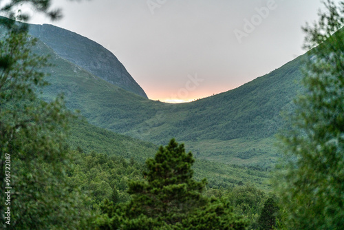 trail in Andalsnes Isfjorden fjord in Norway in the woods on summer evening photo