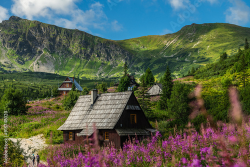 Fototapeta Naklejka Na Ścianę i Meble -  Sunrise and Colorful Blossoms in Gasienicowa Valley, Poland
