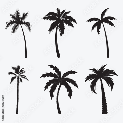 Silhouettes set of palm trees