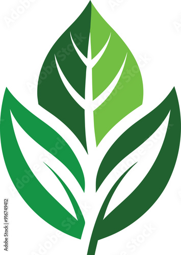 vector green leaf
green leaf isolated on white
vector illustration of a leaf