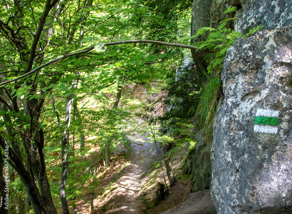 The green trail marking on the stone to match the difficulty of the hiking and cycling trail. The green trail marking on the stone to match the difficulty of the hiking and cycling trail.