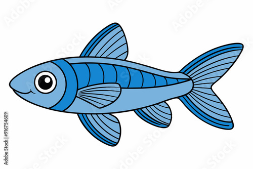 Create a fish Danio  art vector illustration